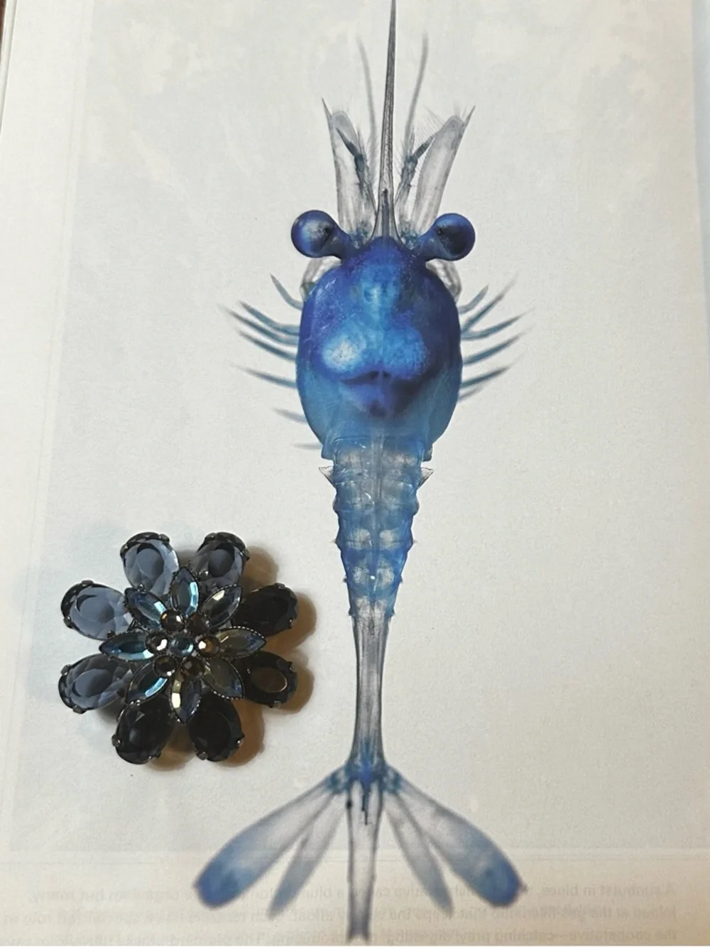 Sapphire Blue Rhinestone Brooch - Picture 2 of 2